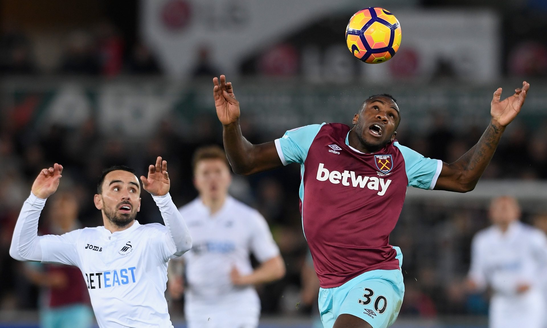 了广东东阳 了广东东阳